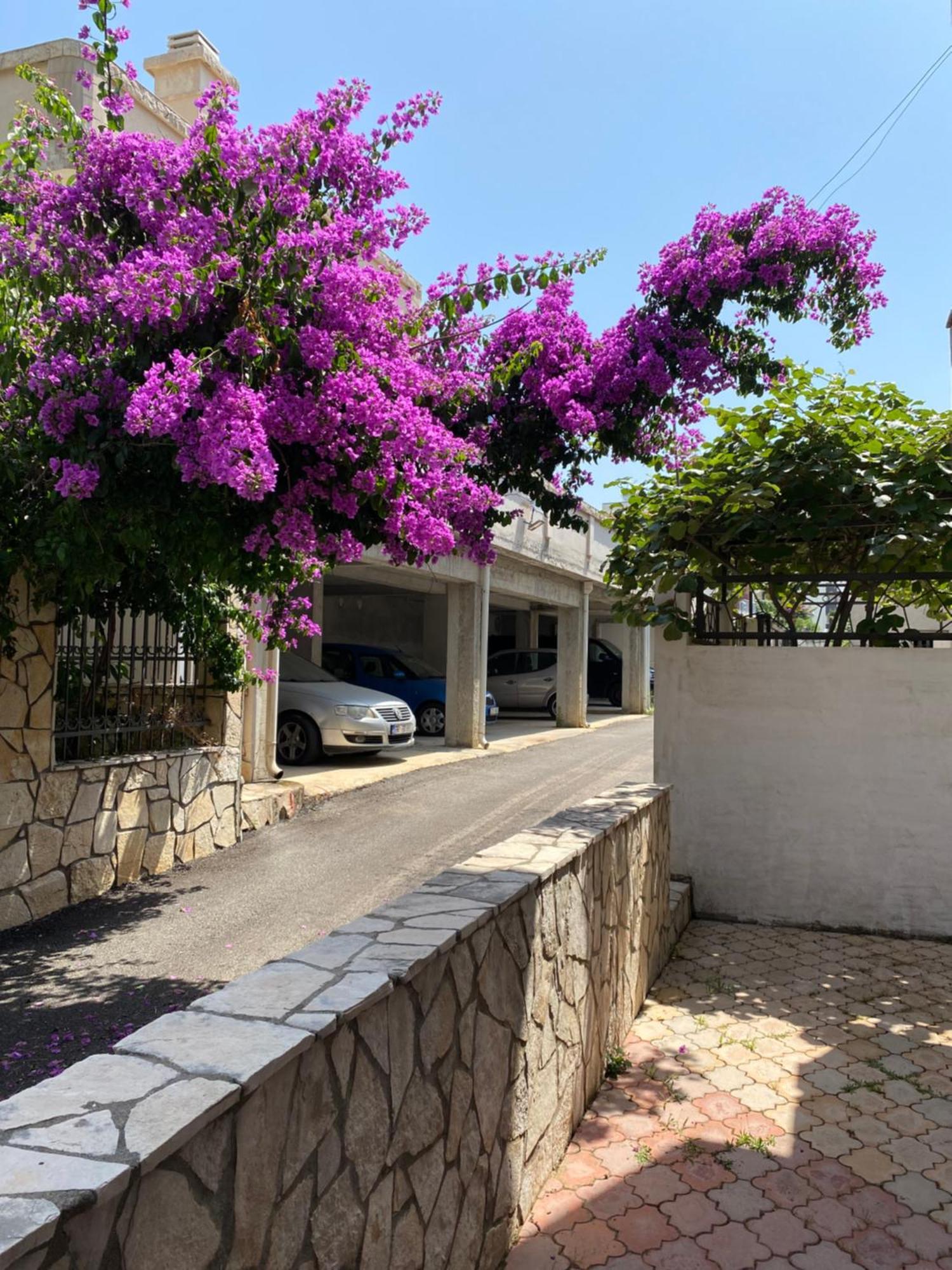 Apartments Vila Kurtagic Dobra Voda Ngoại thất bức ảnh